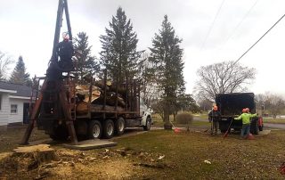 Cutting trees and placing logs