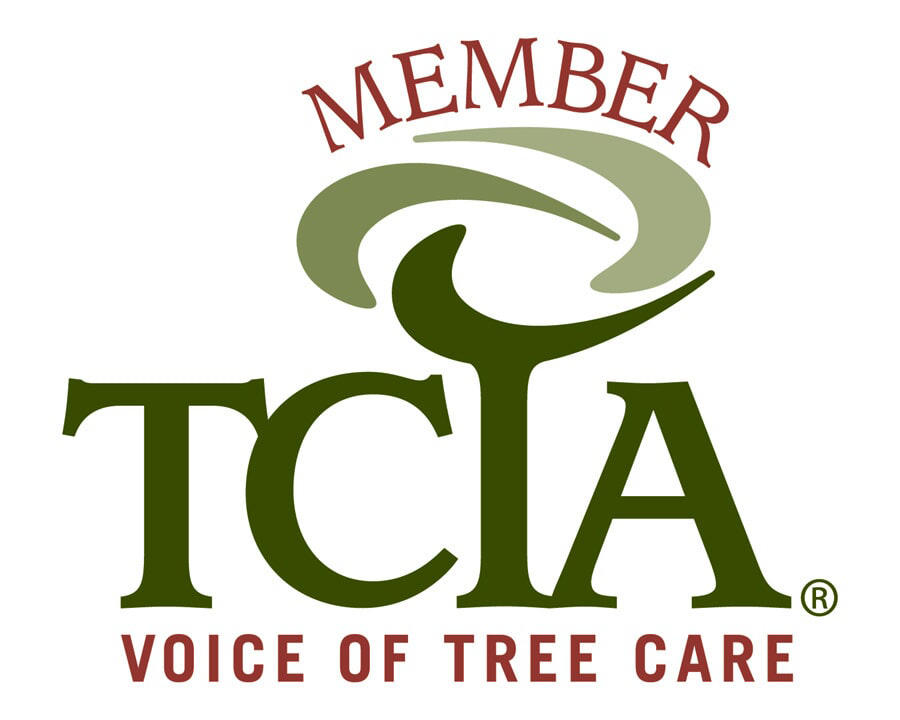 TCIA logo